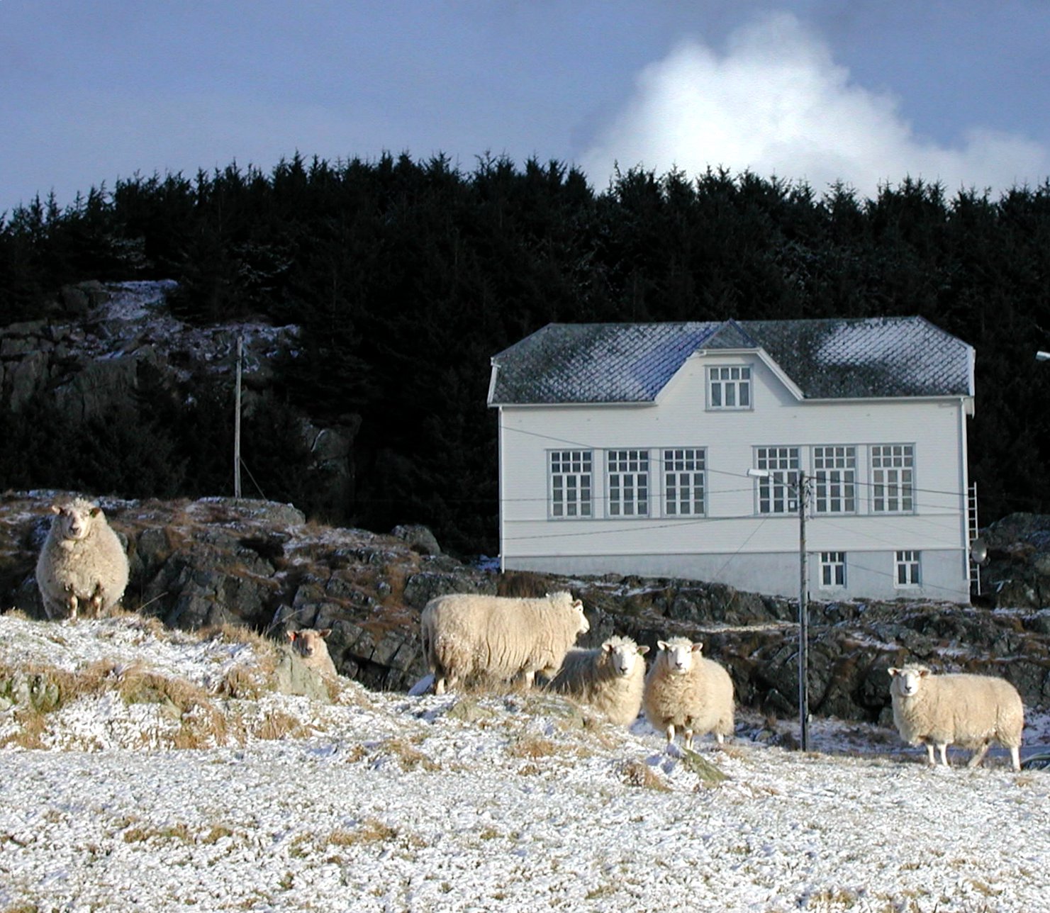 Gamleskulen Utsira